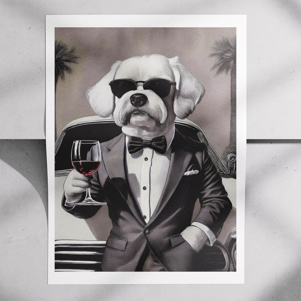 Maltese The Distinguished Gentleman Dog Series image 7