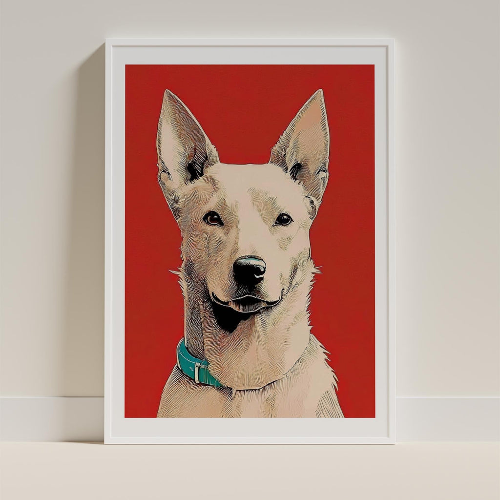 Kelpie Red Dog Series image 9