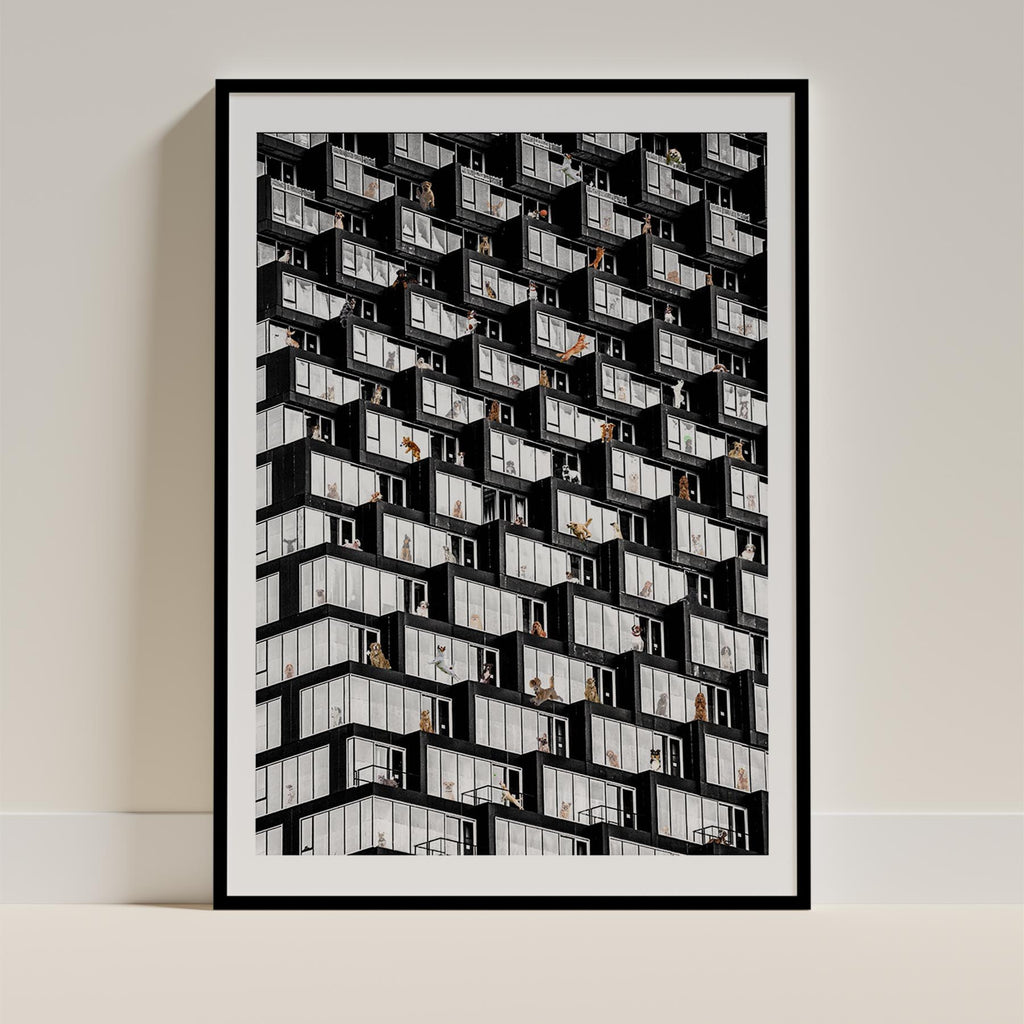 Where is Your Dog Urban NO TEXT image 0