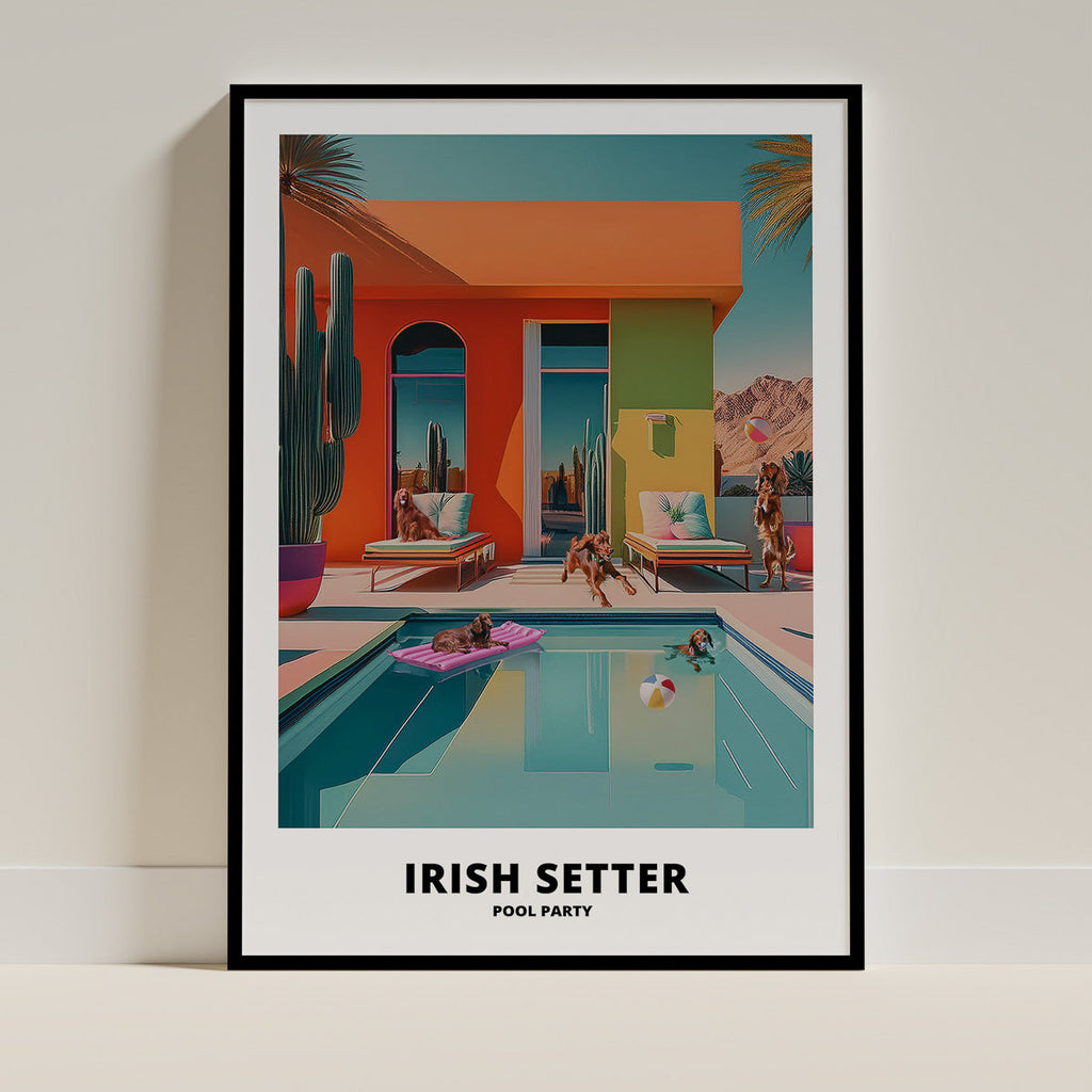 Irish Setter Pool Party image 0