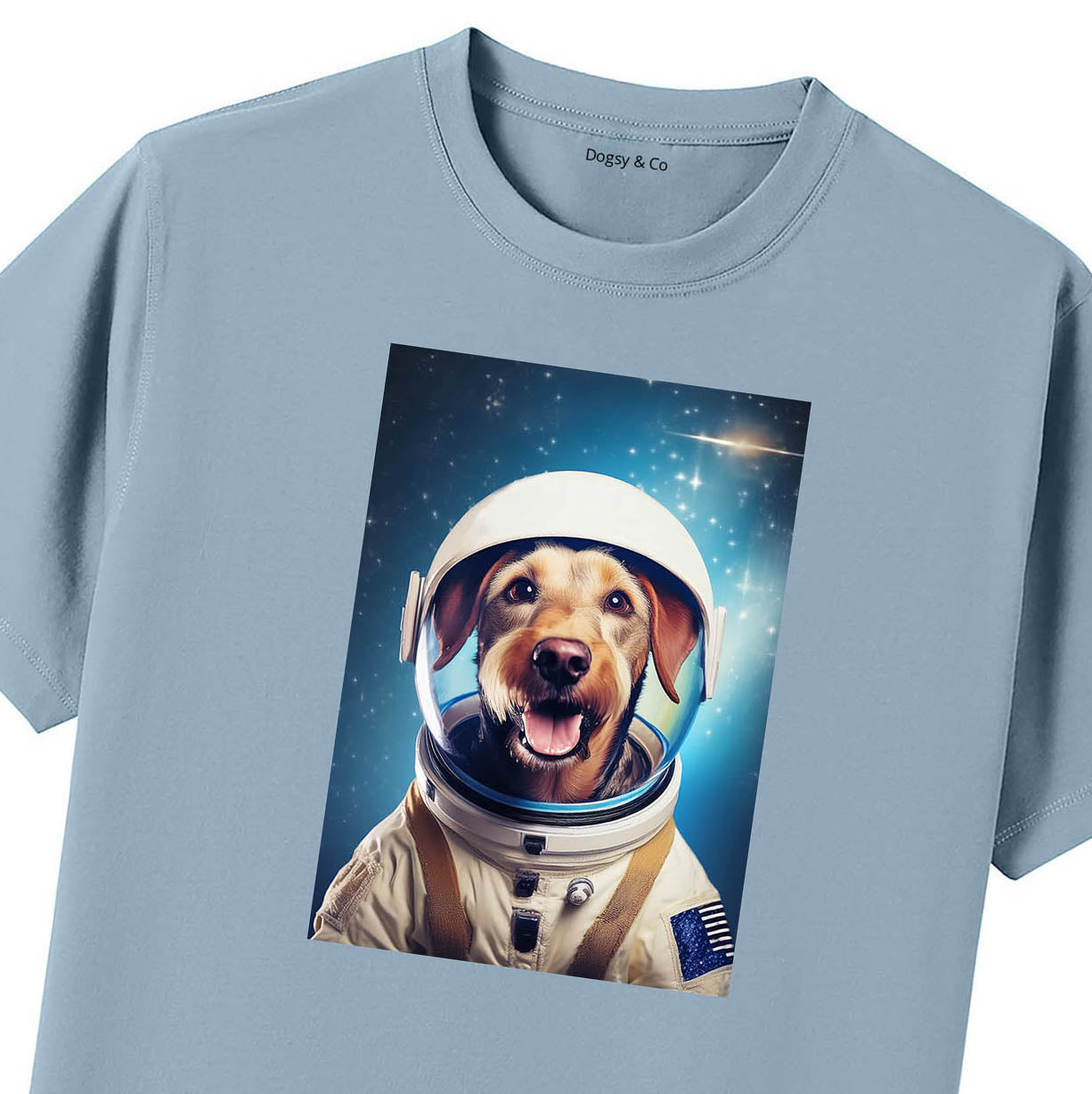 Blue T-Shirt Close Up