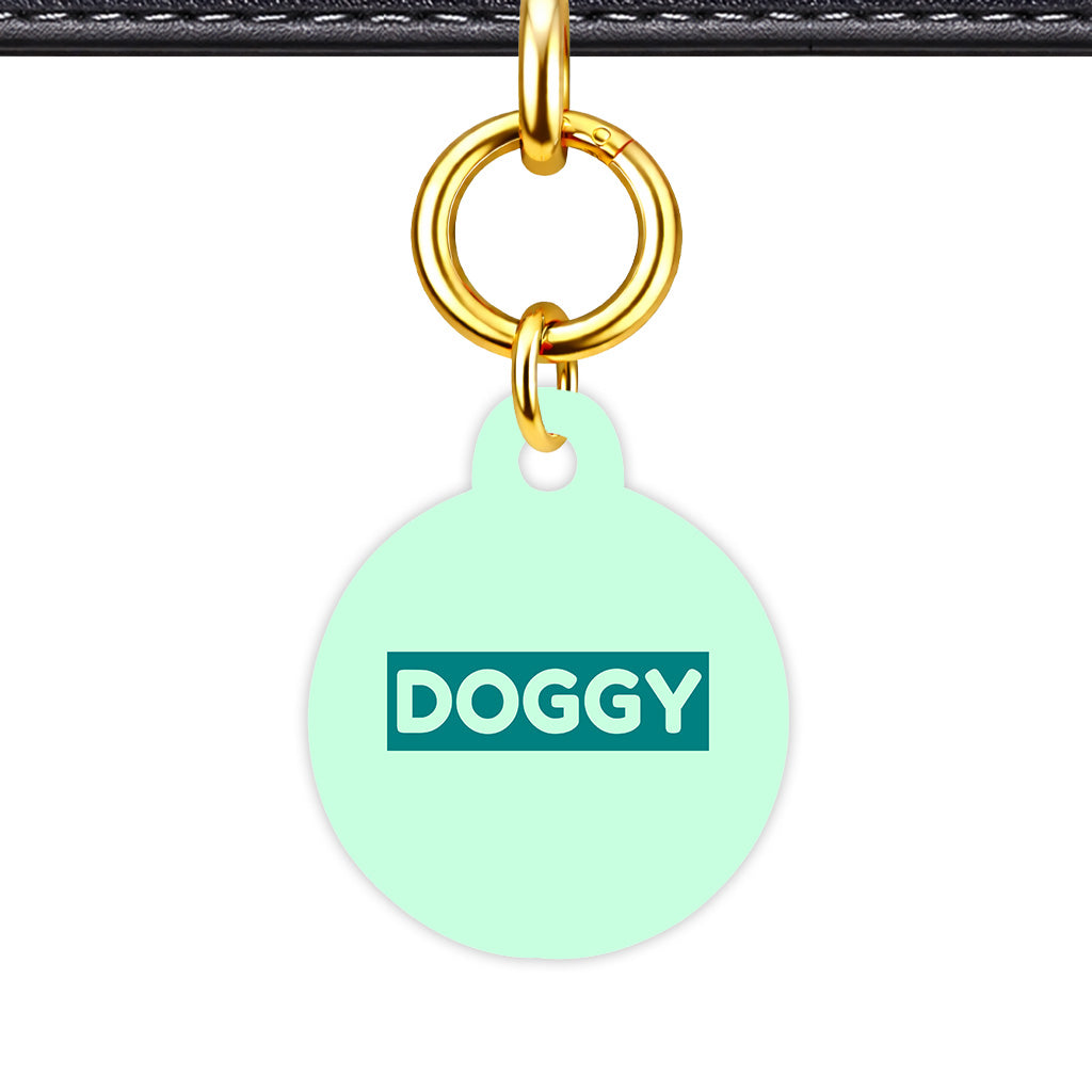 Light Mint & Teal Circle Shape QR Smart Pet ID Tag - Front View