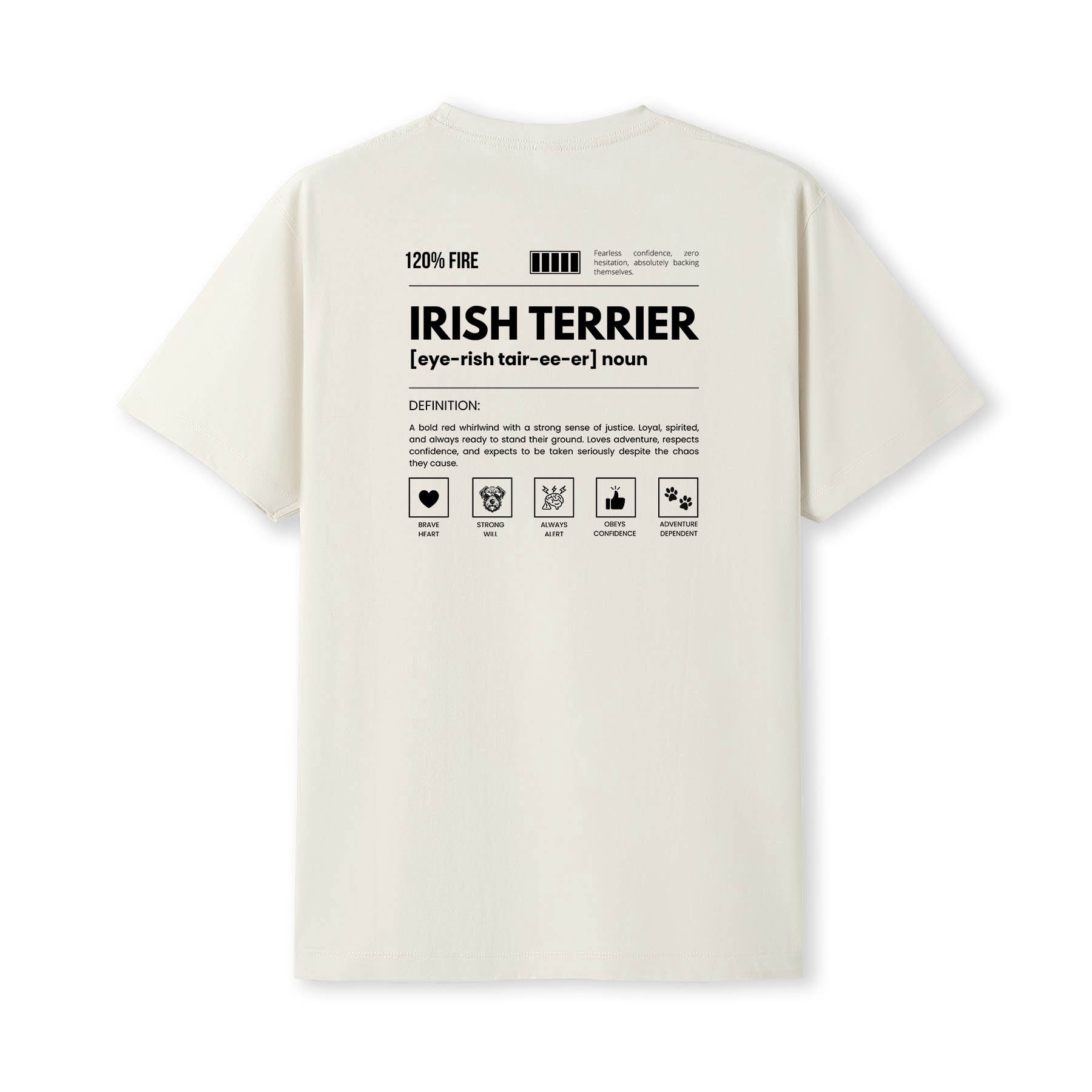Irish Terrier Definition T-Shirt