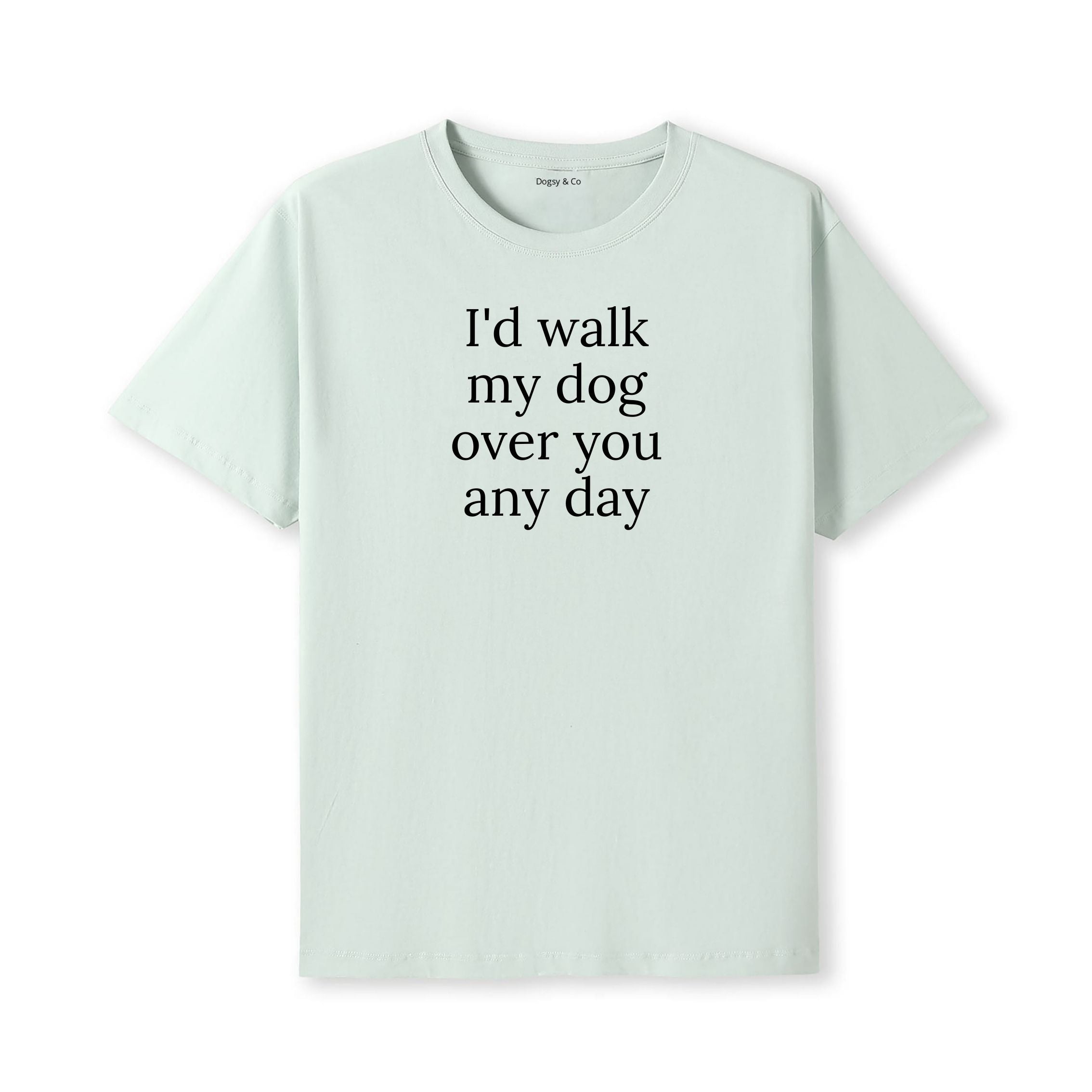 I'd Walk My Dog Over You Any Day T-Shirt - alternate view