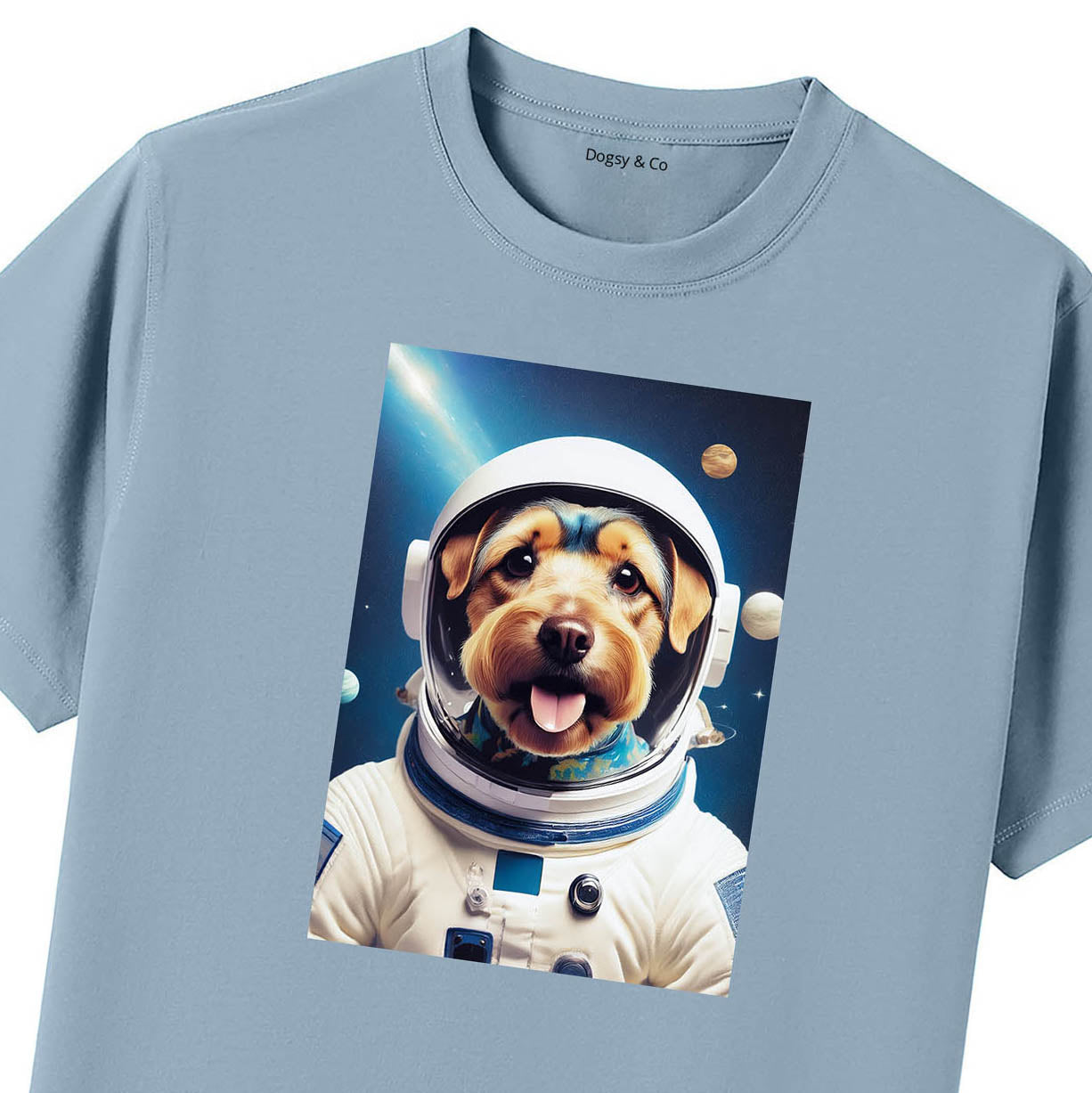Blue T-Shirt Close Up