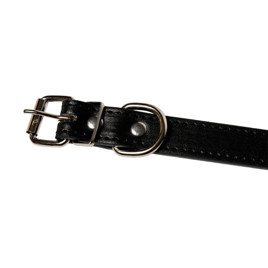 Personalised Letter Dog Collar — Small to Large Dogs (Copy) - Image 21 | Dogsy & Co