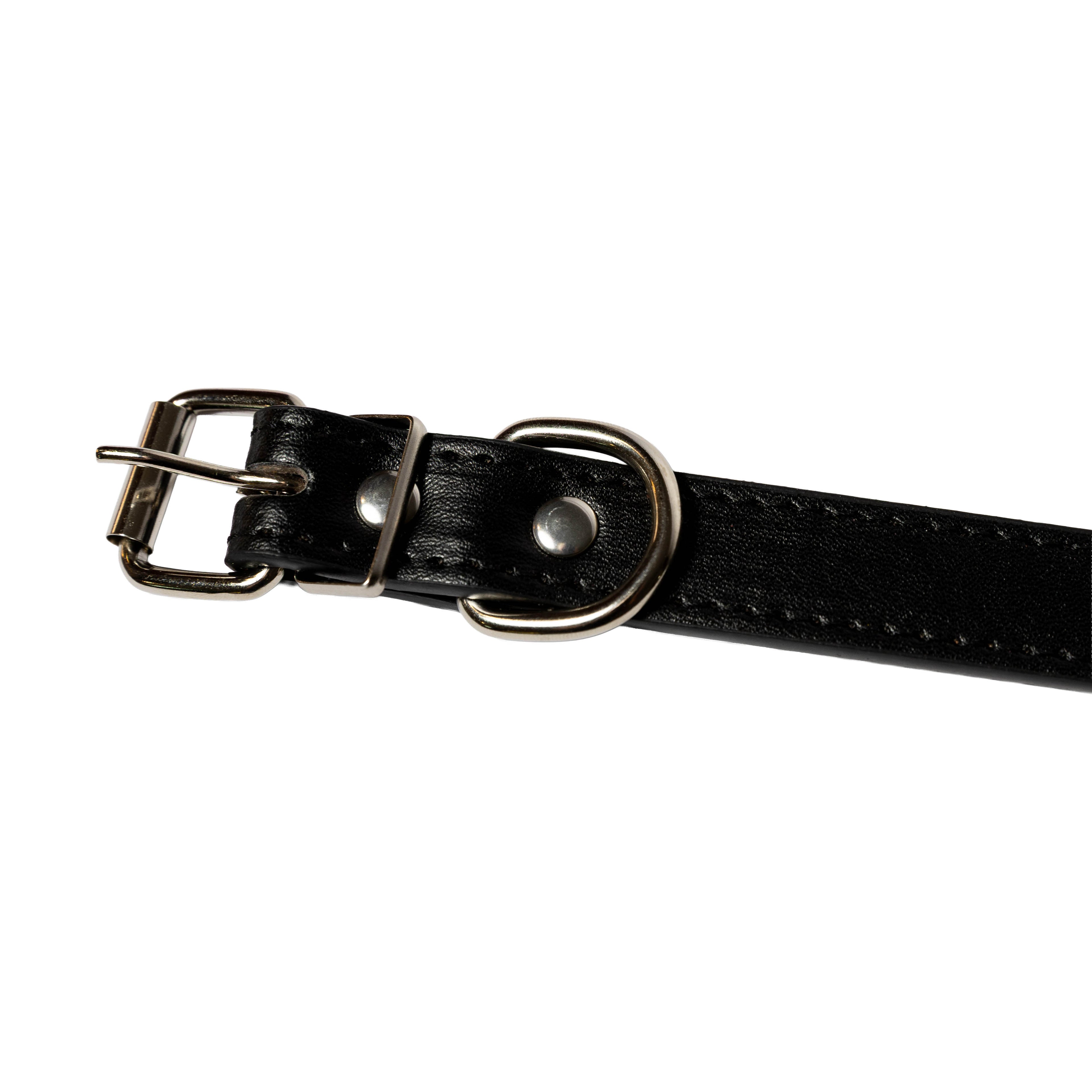 Personalised Letter Dog Collar — Small to Large Dogs (Copy) - Image 21 | Dogsy & Co