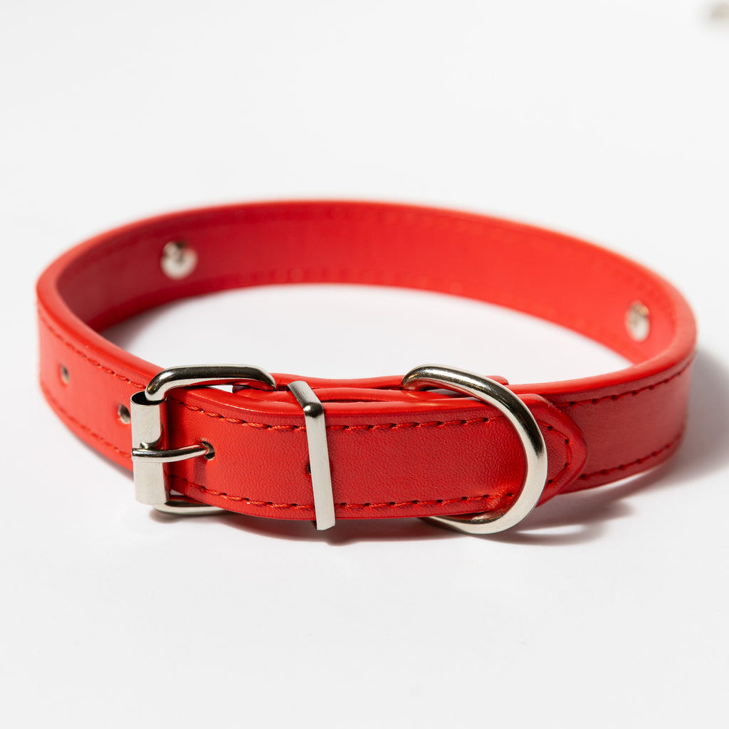 Personalised Crystal Letter Dog Collar — Small to Large Dogs - Image 16 | Dogsy & Co