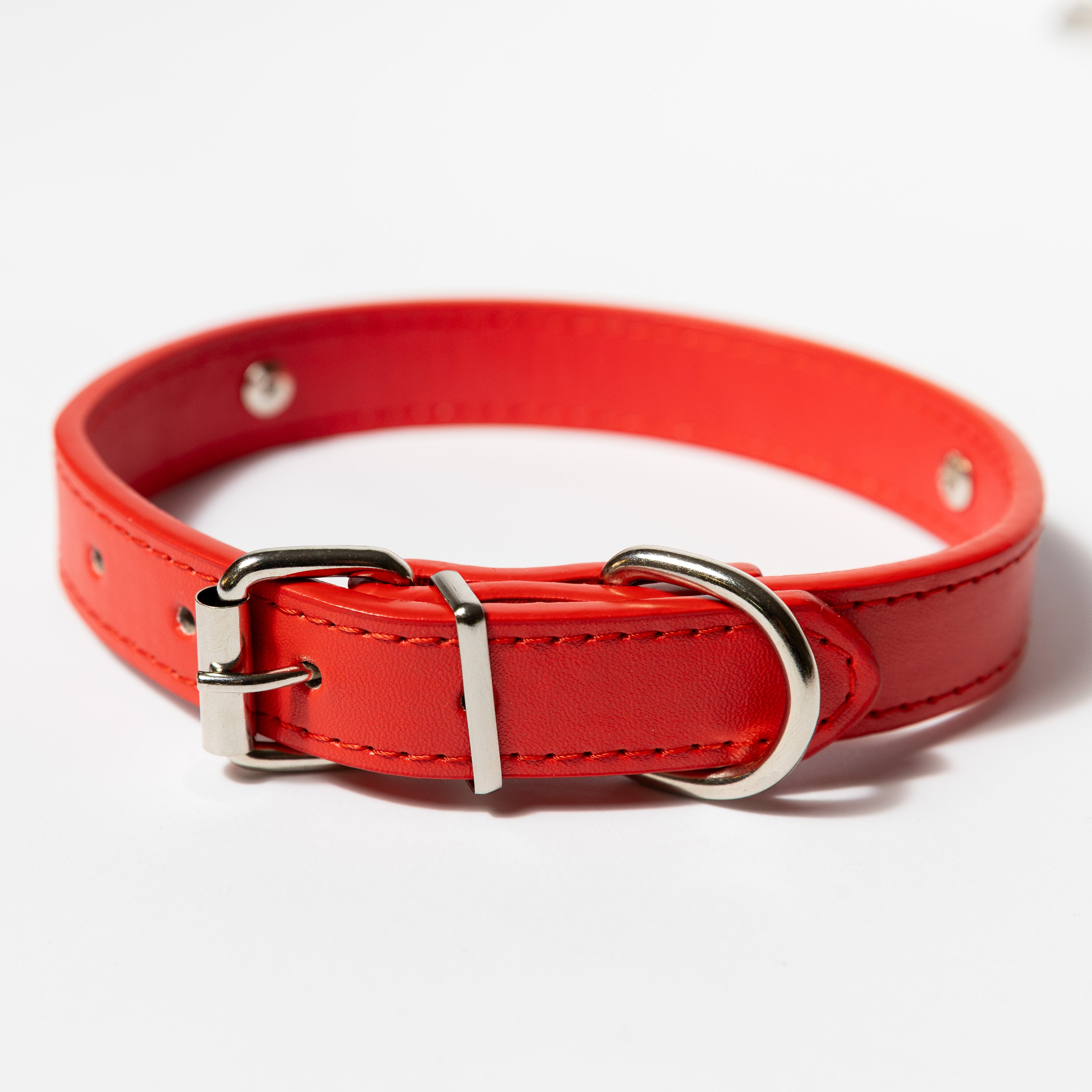 Personalised Letter Dog Collar — Small to Large Dogs (Copy) - Image 16 | Dogsy & Co
