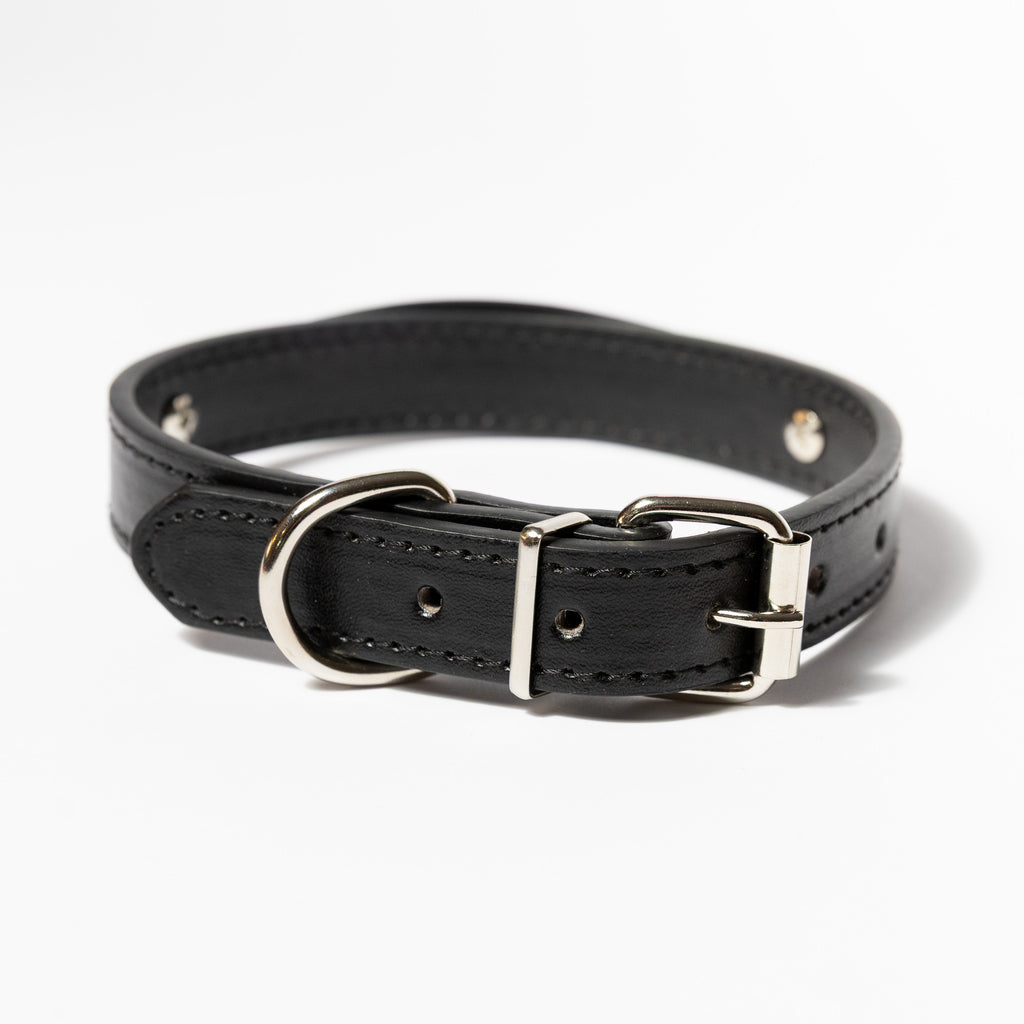 Personalised Letter Dog Collar — Small to Large Dogs (Copy) - Image 15 | Dogsy & Co