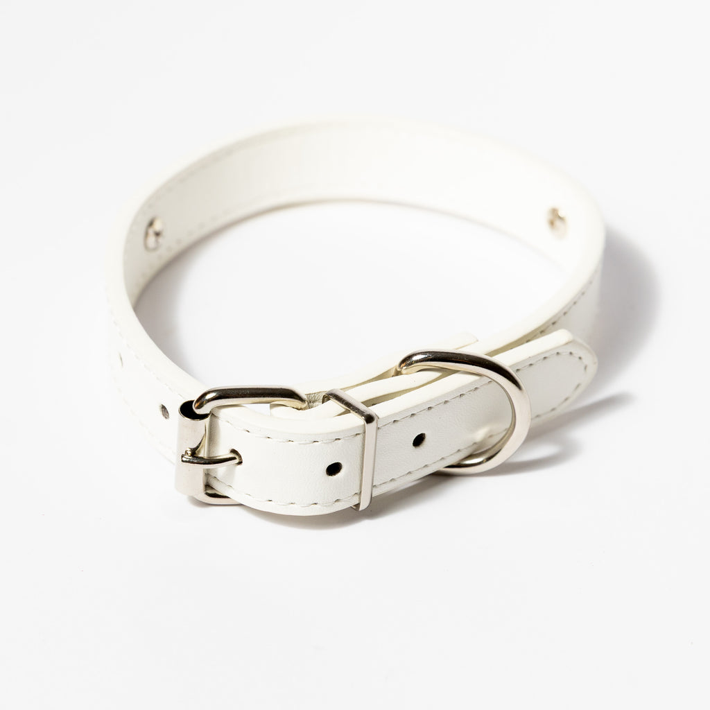 Personalised Crystal Letter Dog Collar — Small to Large Dogs - Image 17 | Dogsy & Co