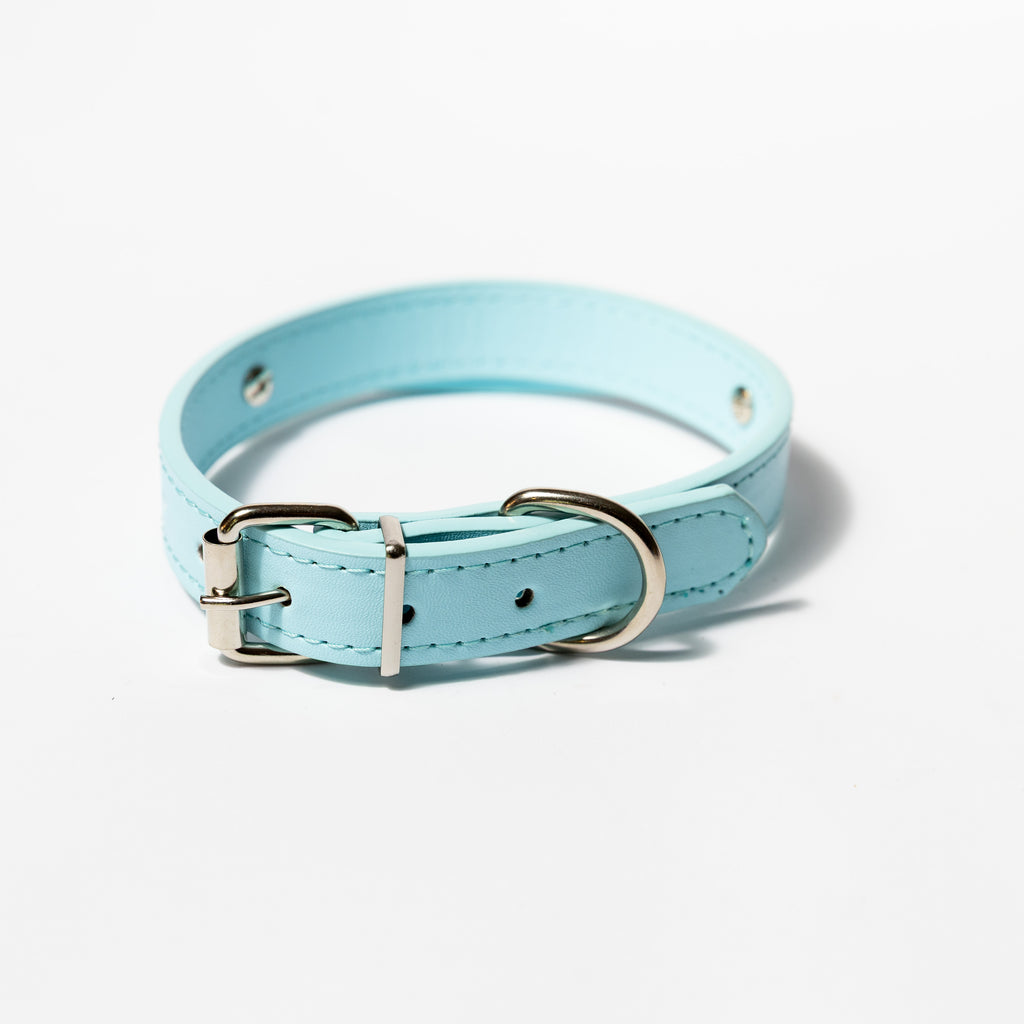 Personalised Letter Dog Collar — Small to Large Dogs (Copy) - Image 13 | Dogsy & Co