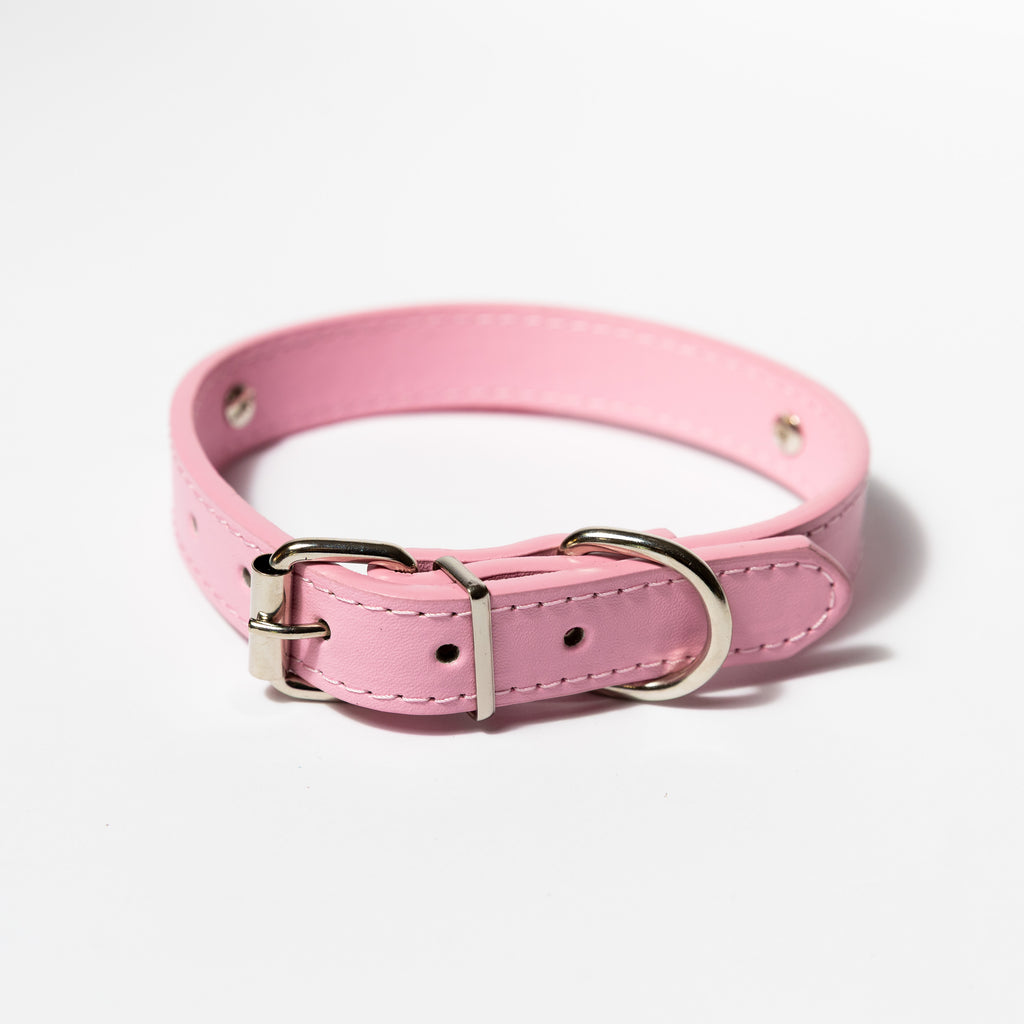 Personalised Crystal Letter Dog Collar — Small to Large Dogs - Image 20 | Dogsy & Co