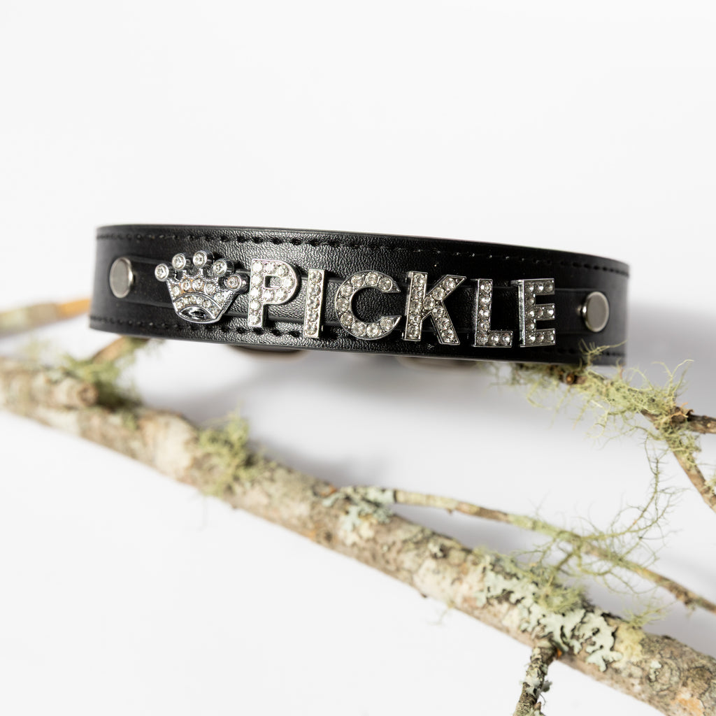 Personalised Crystal Letter Dog Collar — Small to Large Dogs | Dogsy & Co
