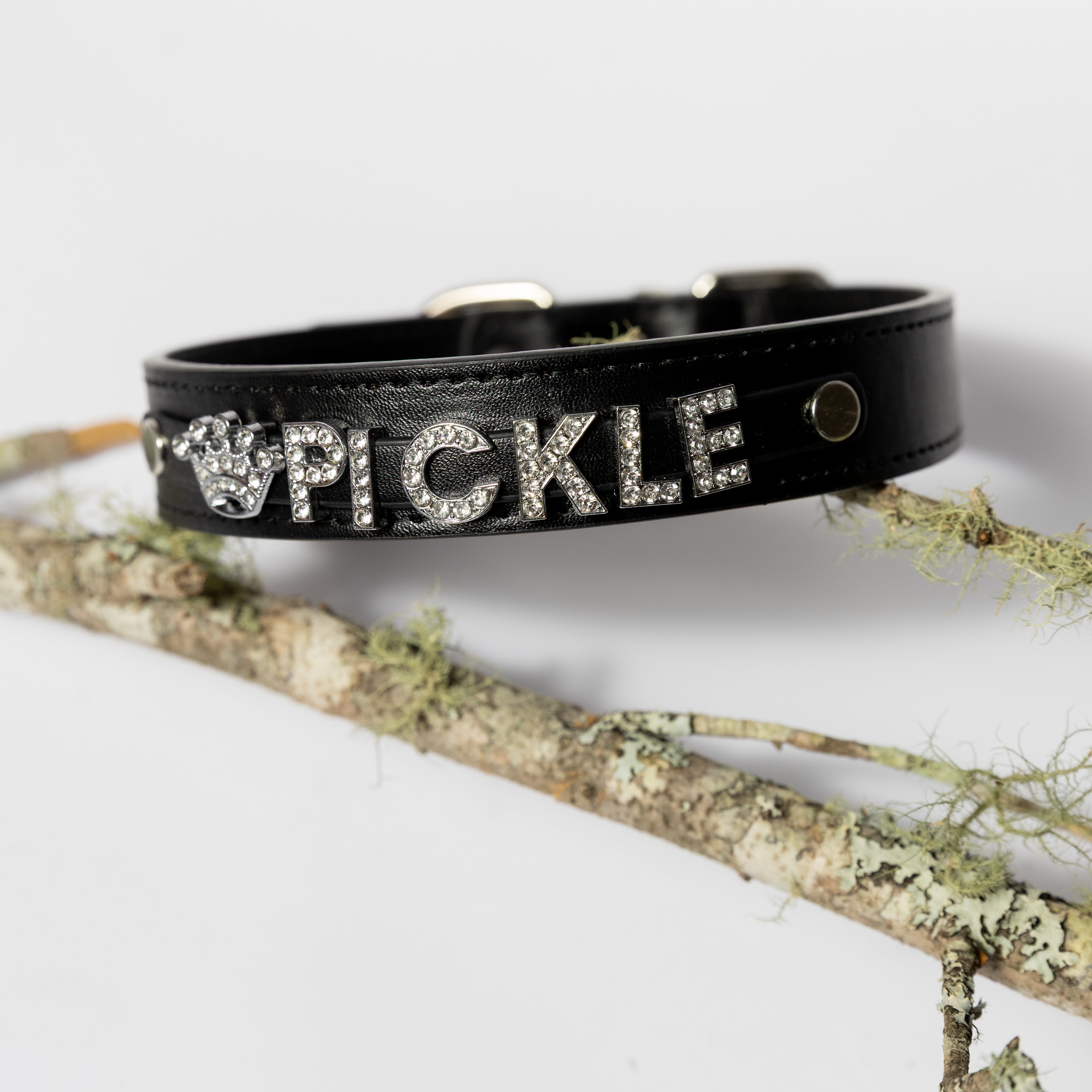 Personalised Crystal Letter Dog Collar — Small to Large Dogs - Image 41 | Dogsy & Co
