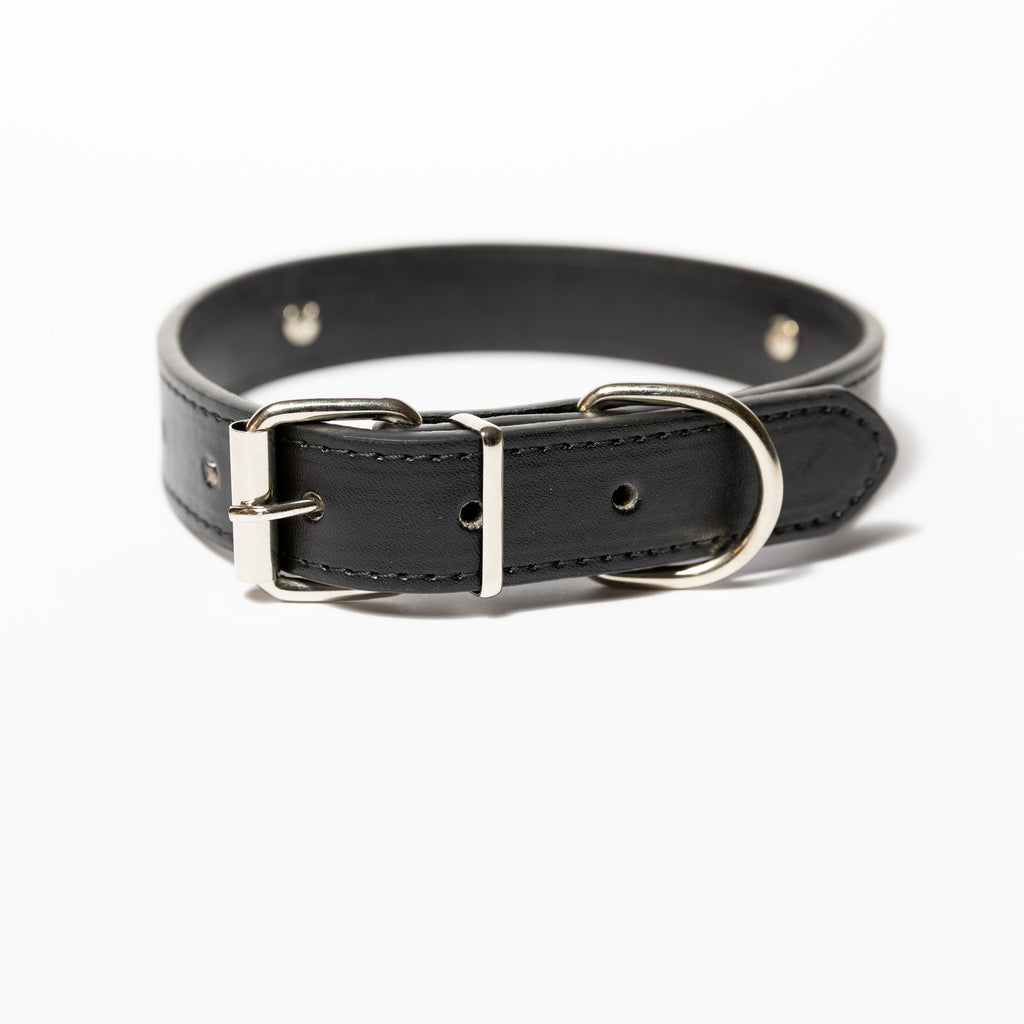 Personalised Letter Dog Collar — Small to Large Dogs (Copy) - Image 18 | Dogsy & Co