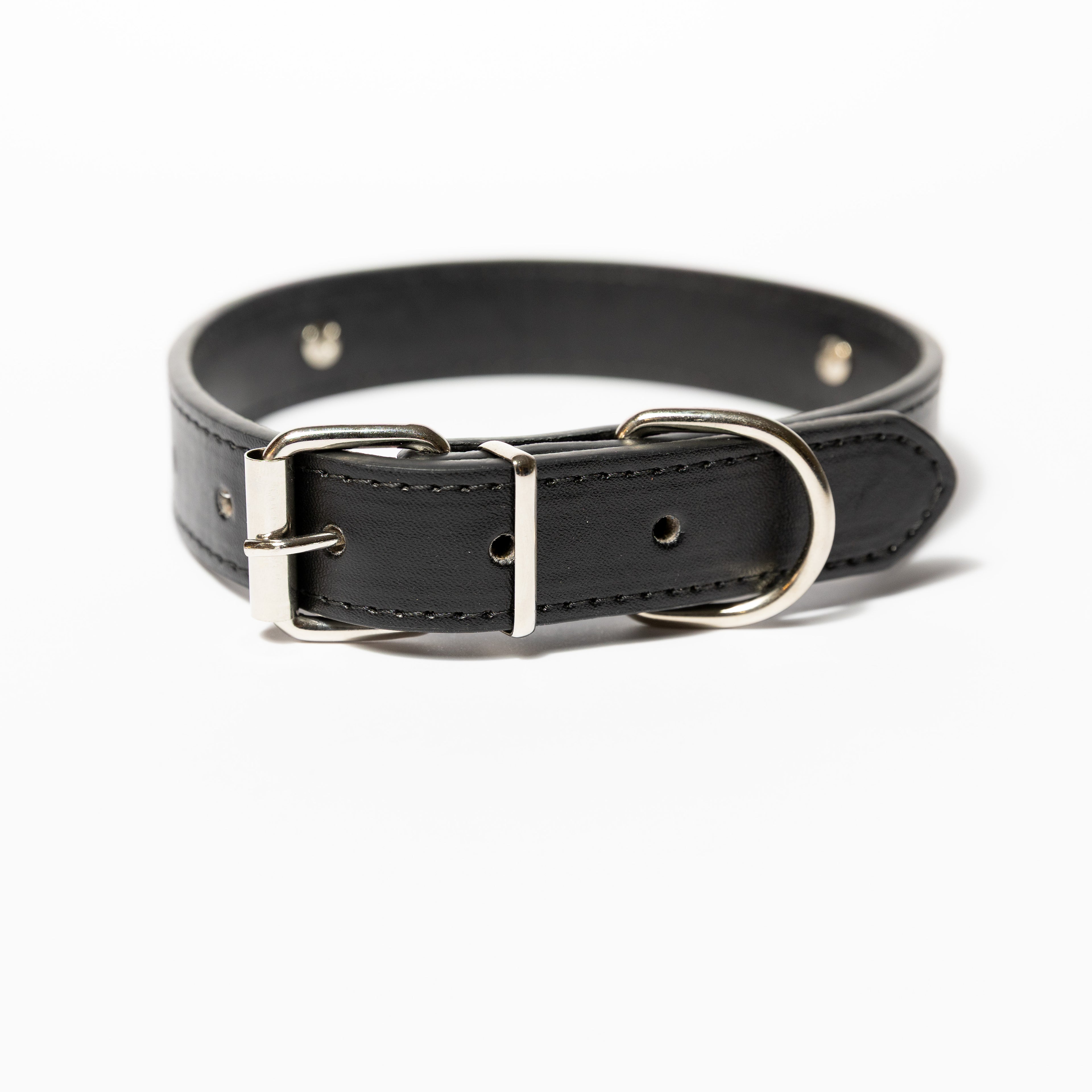 Personalised Crystal Letter Dog Collar — Small to Large Dogs - Image 22 | Dogsy & Co