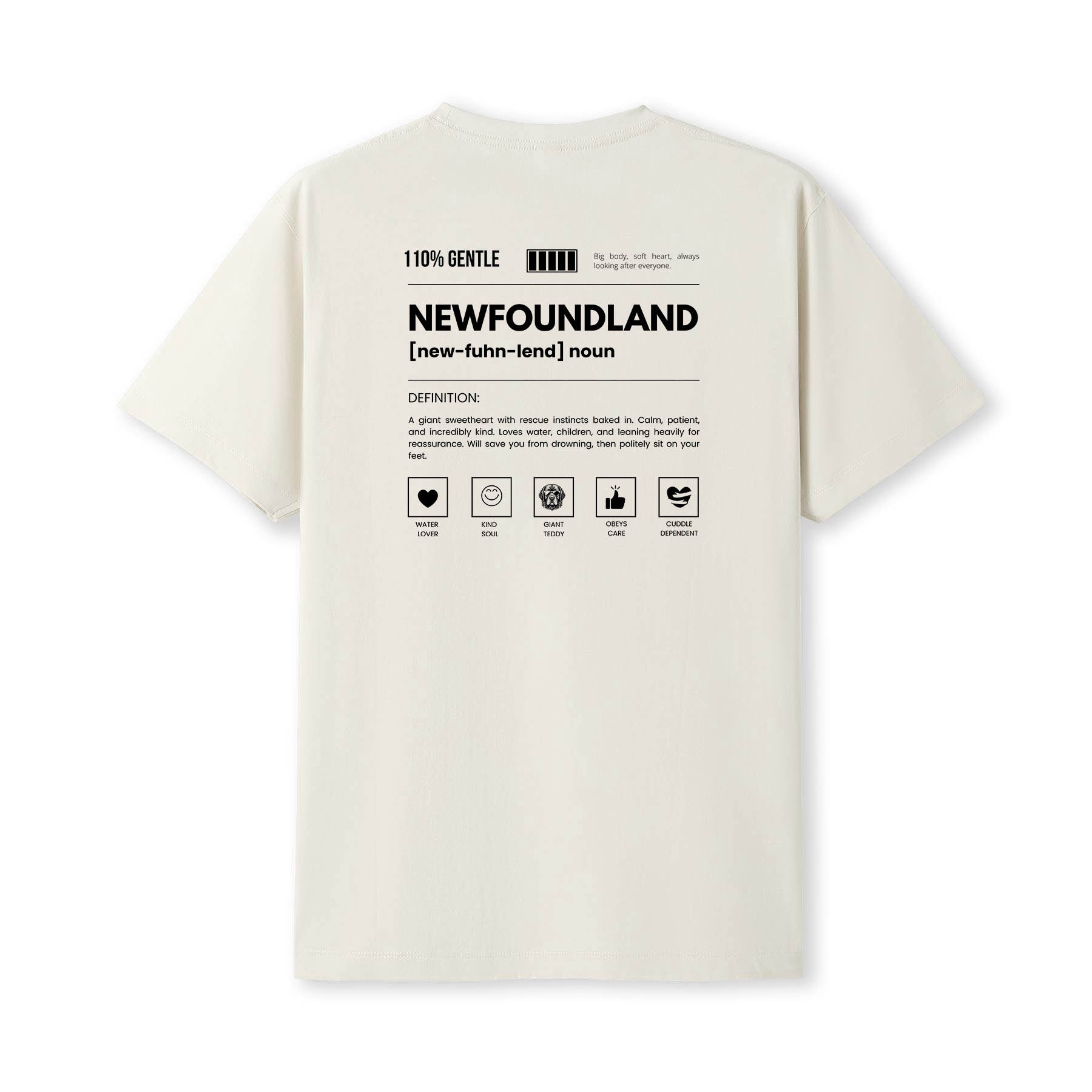 Newfoundland Definition T-Shirt