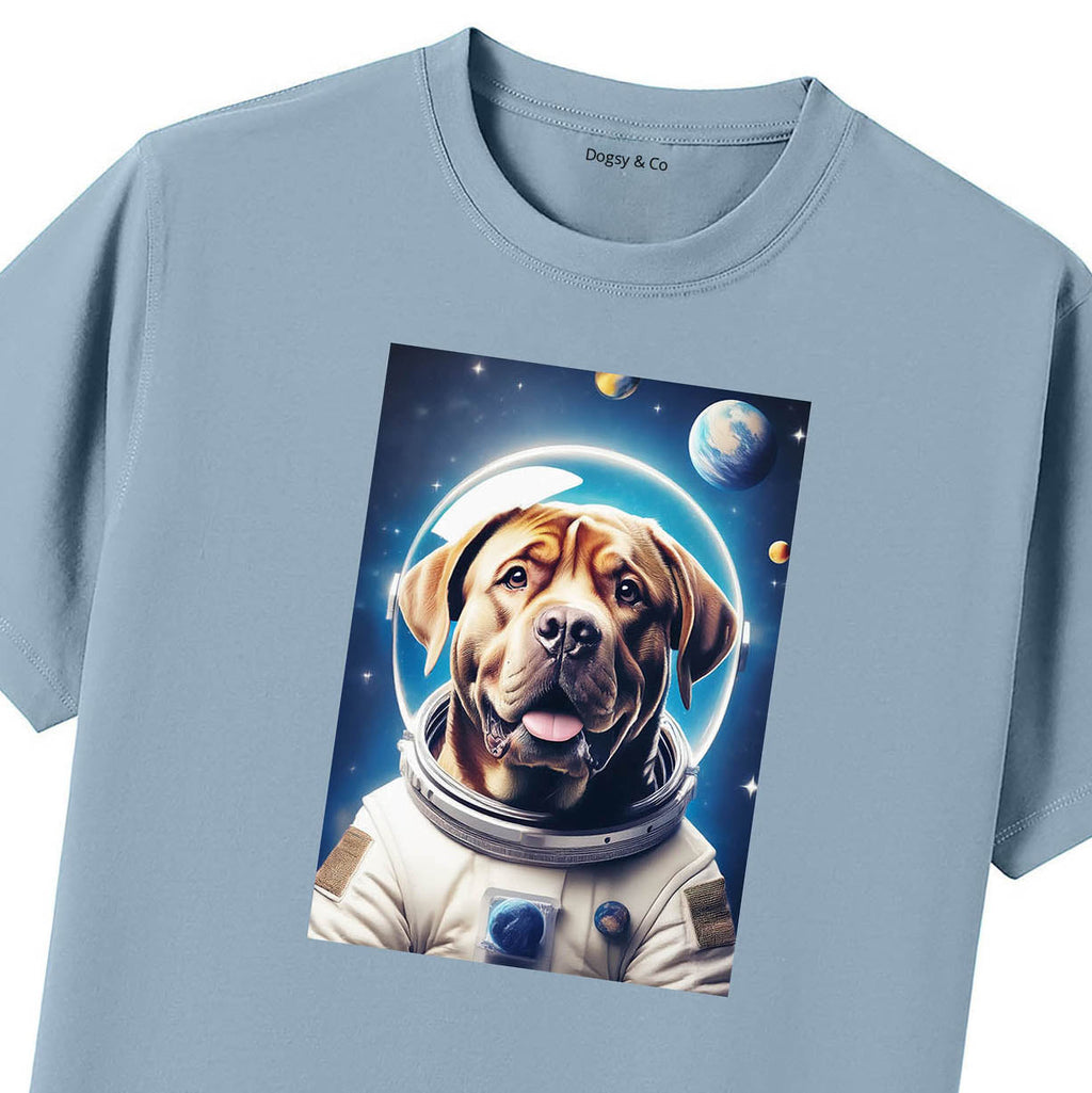 Blue T-Shirt Close Up