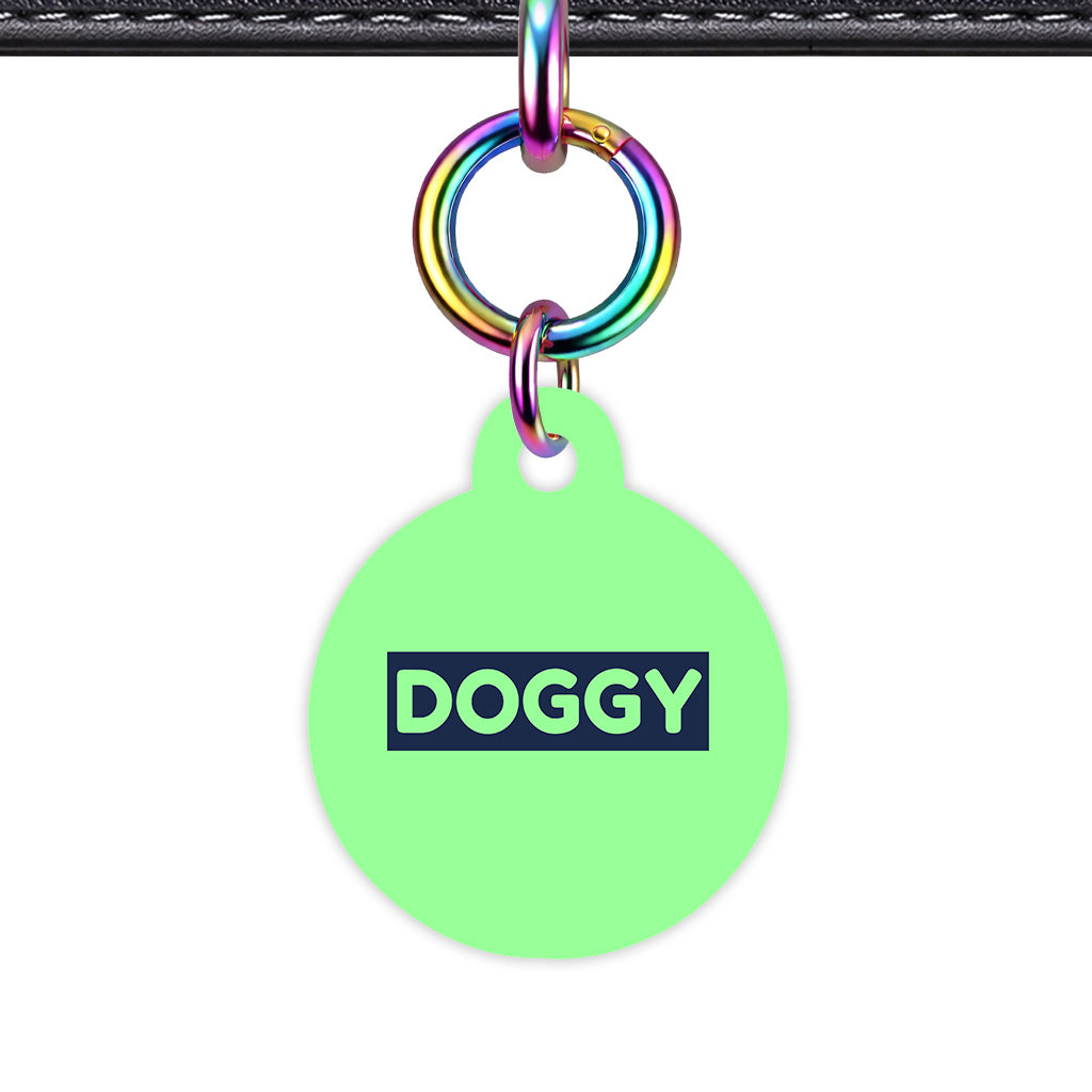 Mint & Navy Circle Shape Rainbow Ring QR Smart Pet ID Tag