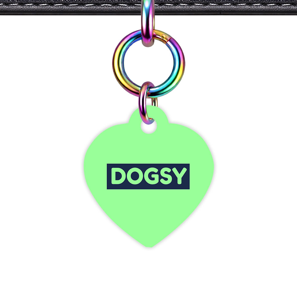 Mint & Navy Heart Shape Rainbow Ring QR Smart Pet ID Tag