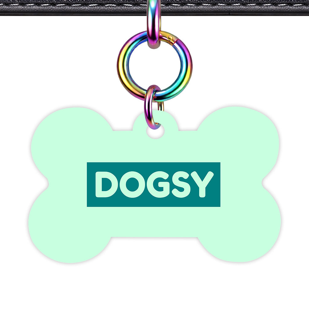 Light Mint & Teal Rainbow Ring Bone Shape QR Smart Pet ID Tag