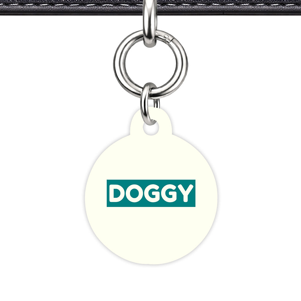 Ivory & Teal Circle Shape Silver Ring Classic Pet ID Tag