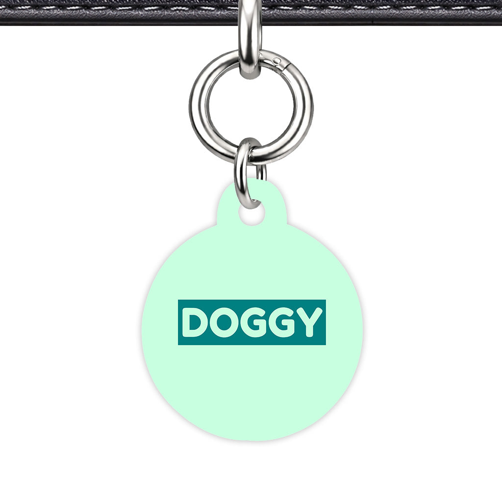 Light Mint & Teal Circle Shape Silver Ring QR Smart Pet ID Tag