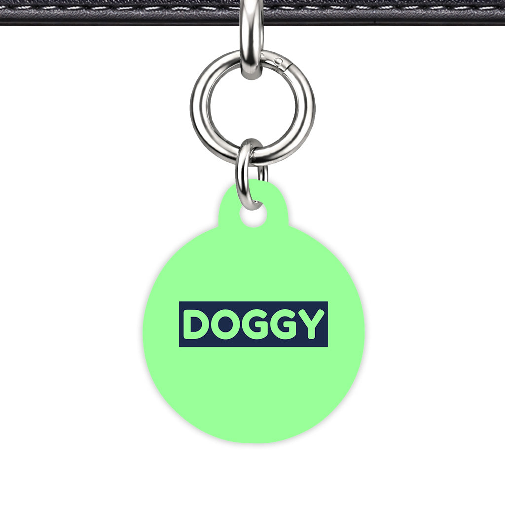 Mint & Navy Circle Shape Silver Ring QR Smart Pet ID Tag