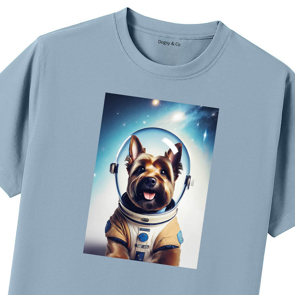 Blue T-Shirt Close Up