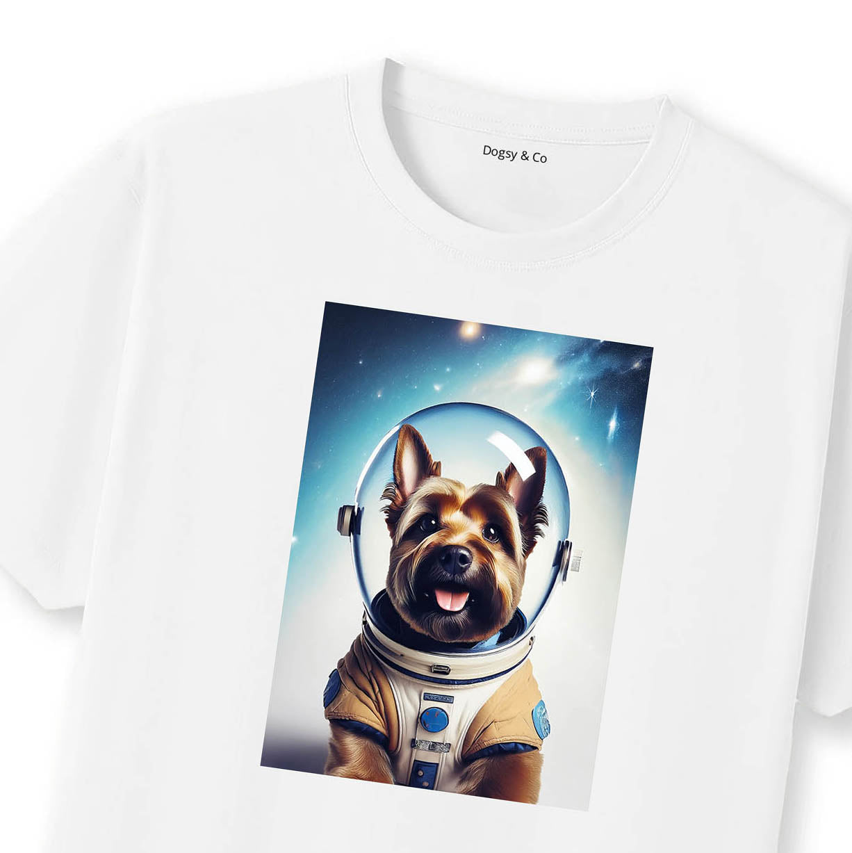 White T-Shirt Close Up