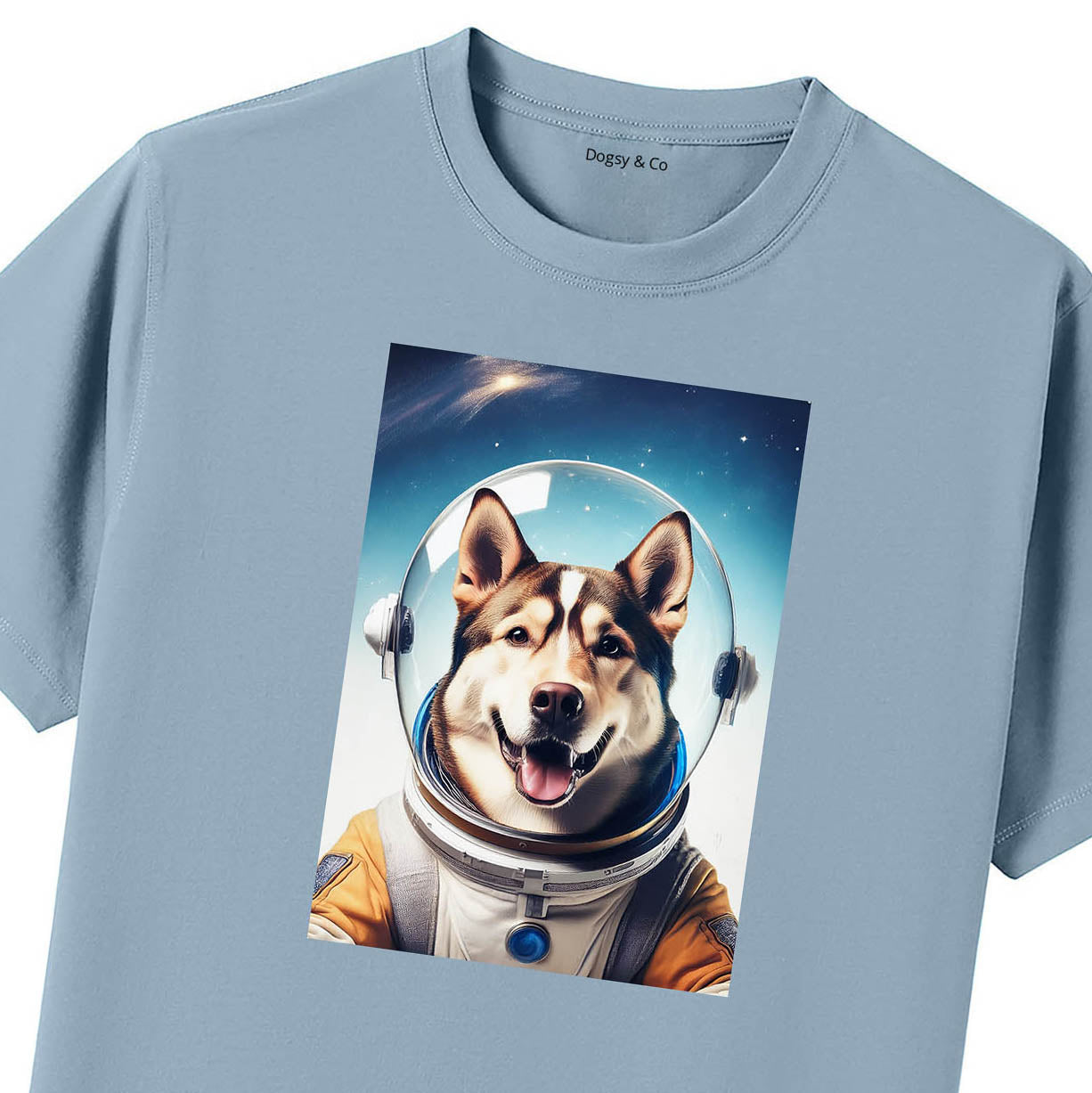Blue T-Shirt Close Up