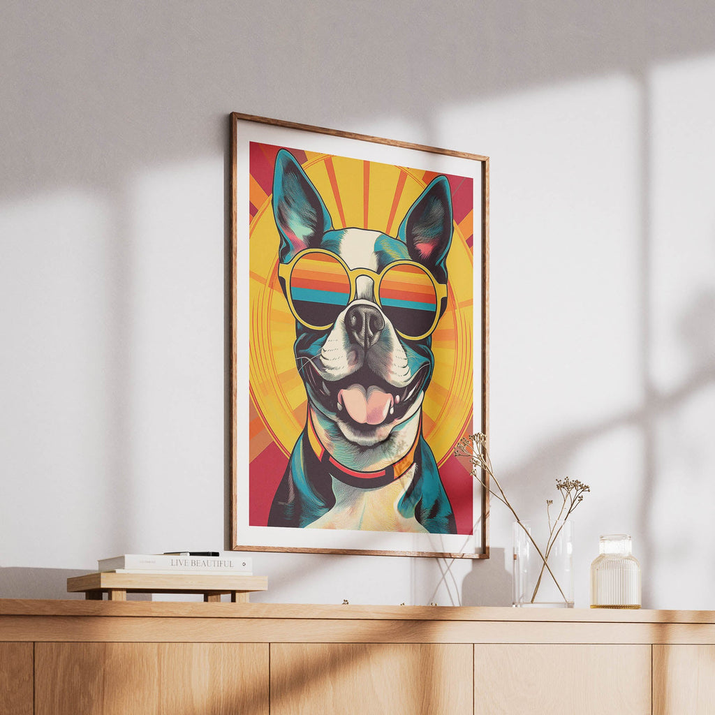 Boston Terrier In Colourful Sunnies 2 image 6