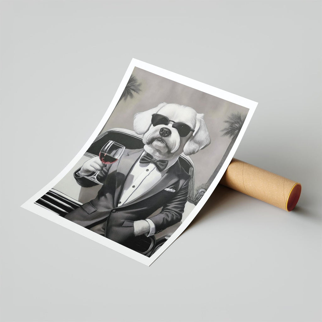 Maltese The Distinguished Gentleman Dog Series image 6