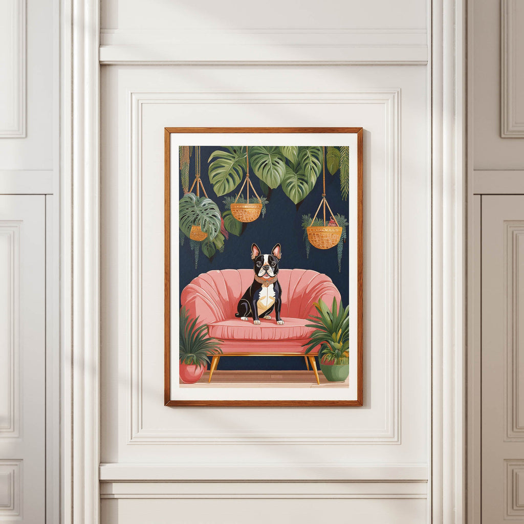 Boston Terrier Just Lounging Around 1 image 2