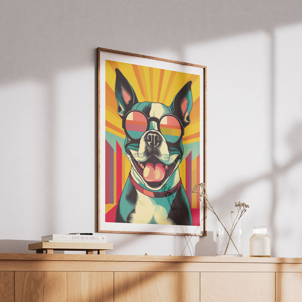 Boston Terrier In Colourful Sunnies 1 image 6