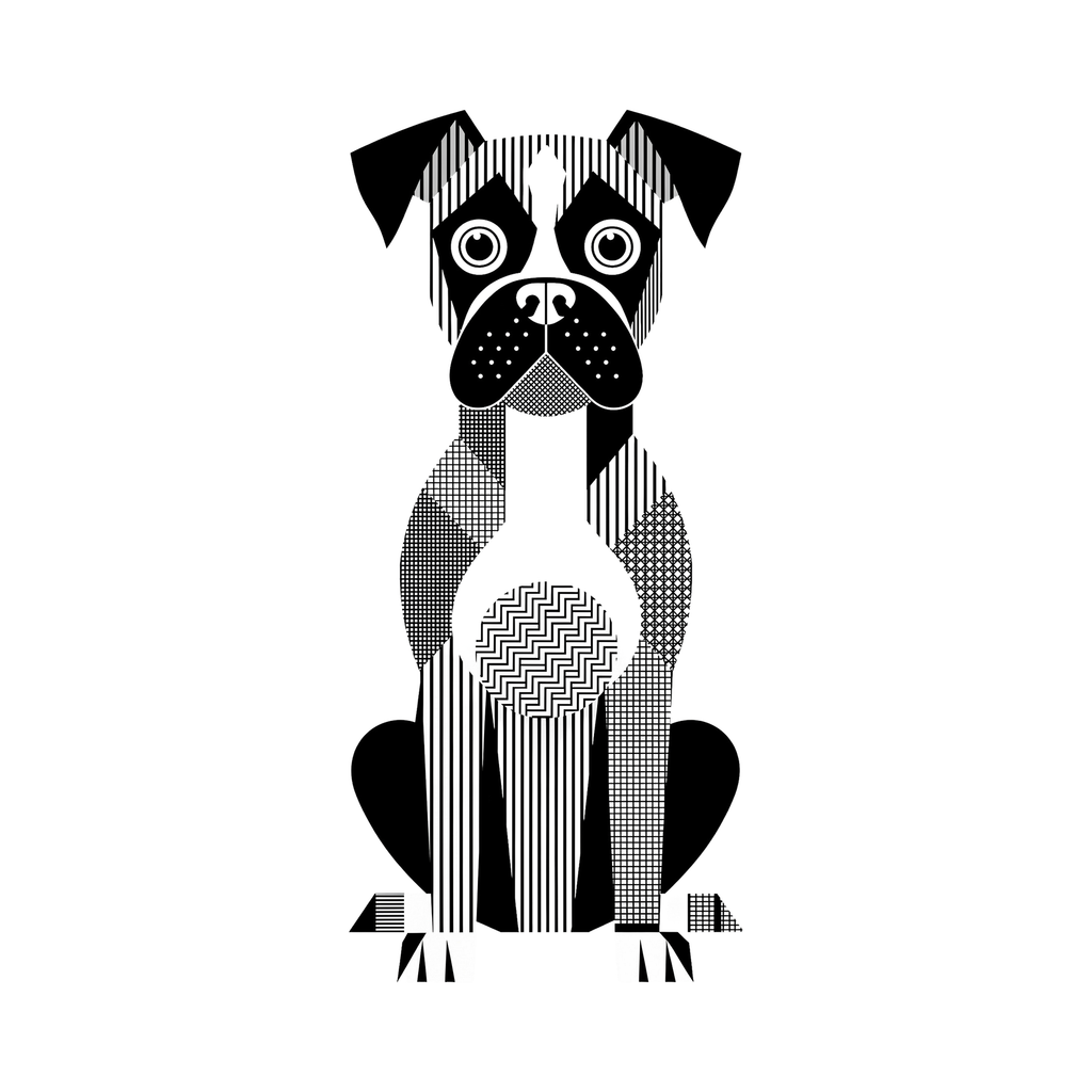 Boxer Geometric Line Art - White