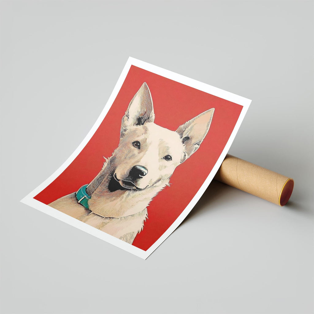 Kelpie Red Dog Series image 6