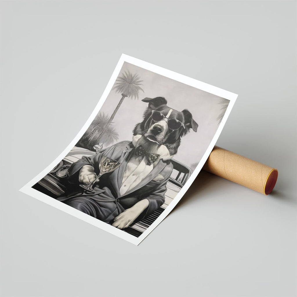 Border Collie The Distinguished Gentleman Dog Series image 6