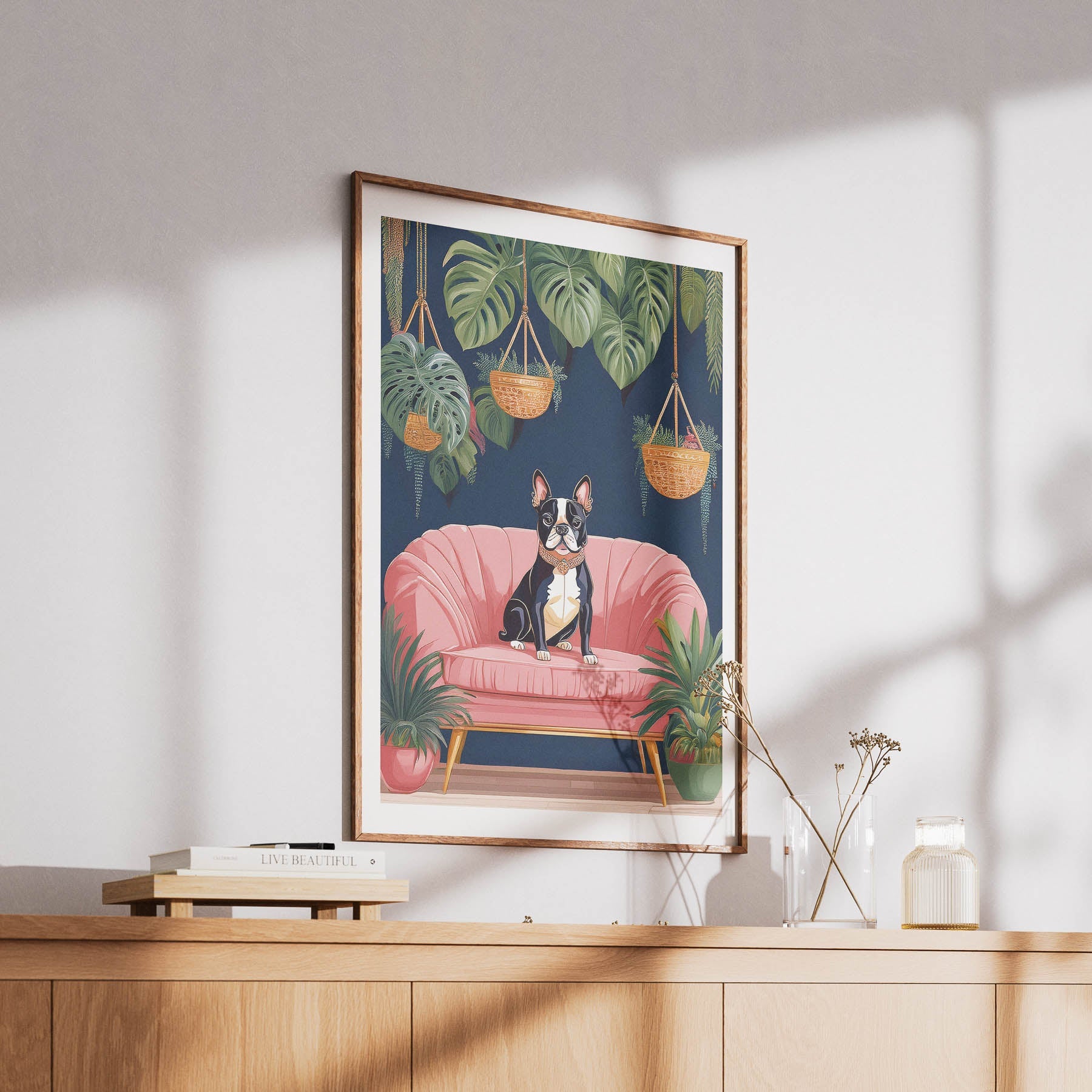 Boston Terrier Just Lounging Around 1 image 6