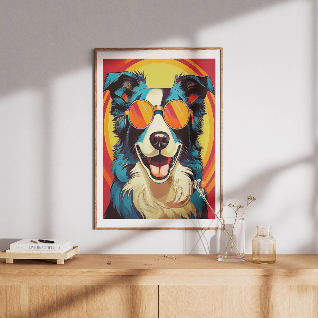 Border Collie In Colourful Sunnies 1 image 8
