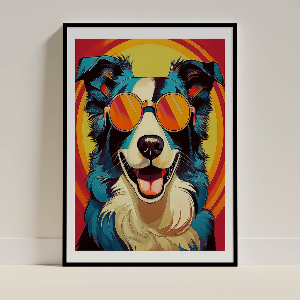 Border Collie In Colourful Sunnies 1 image 0