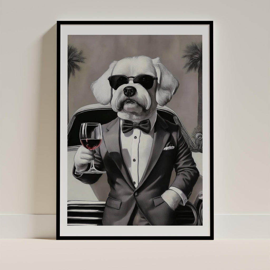 Maltese The Distinguished Gentleman Dog Series image 0